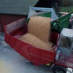 Grain pouring from a GreenLoader into a red receiving machine in a farmyard.