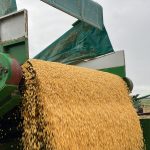 Grain pouring from the side of a GreenLoader toward another vehicle.