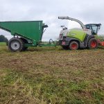 A GreenLoader in front of a forage harvester on a short grass field.