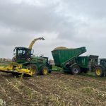 A forage harvester, GreenLoader and a second tractor working in a line.