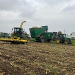 A forage harvester and GreenLoader working across a wide field, with another tractor nearby.