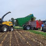 A forage harvester filling a GreenLoader while a red trailer waits alongside in a maize field.