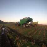 Rear view of a GreenLoader and forage harvester at the end of maize rows at sunset.