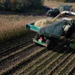 A harvester spout filling a GreenLoader, with standing maize behind the machines.
