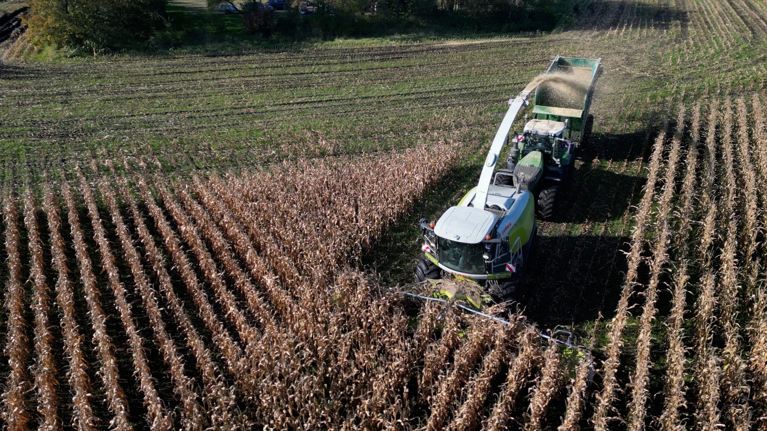 Forage harvester filling a GreenLoader overloading wagon while harvesting maize