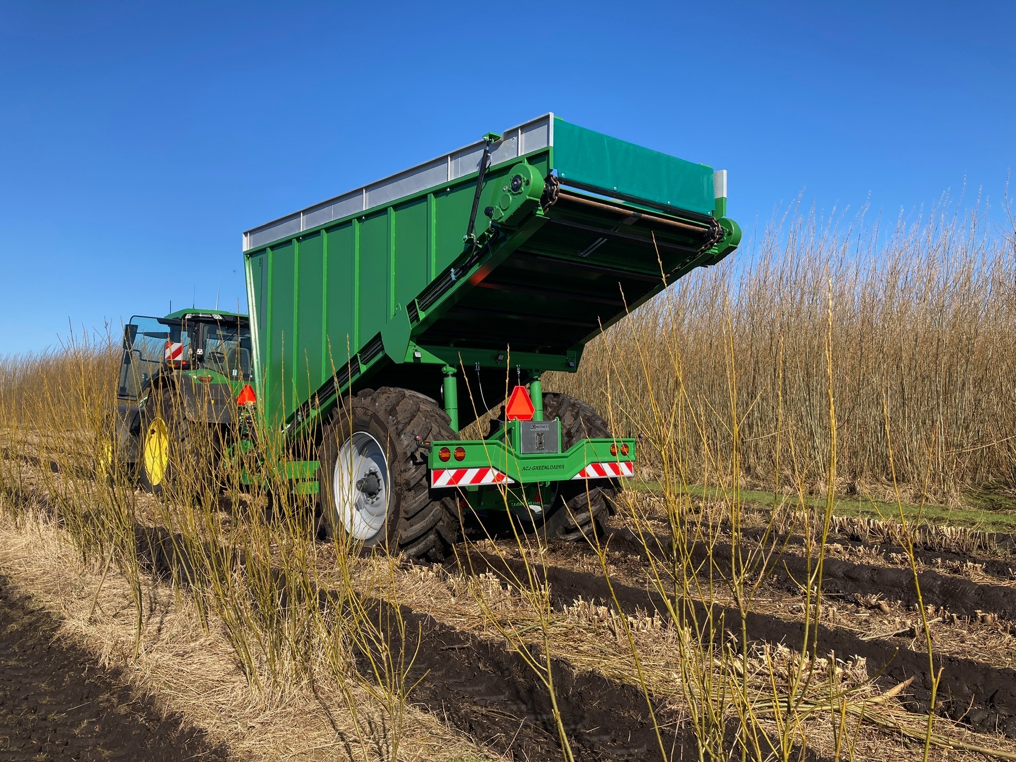 GreenLoader overloading wagon with its body raised, working beside a willow crop