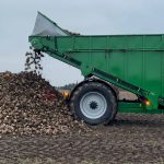 Beets tumbling from the side of a raised GreenLoader onto a pile.