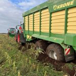 A Krone forage wagon in a maize field, with a tractor and PowerWinch behind it.