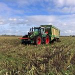 A Fendt tractor and a Krone forage wagon in a partly harvested maize field.