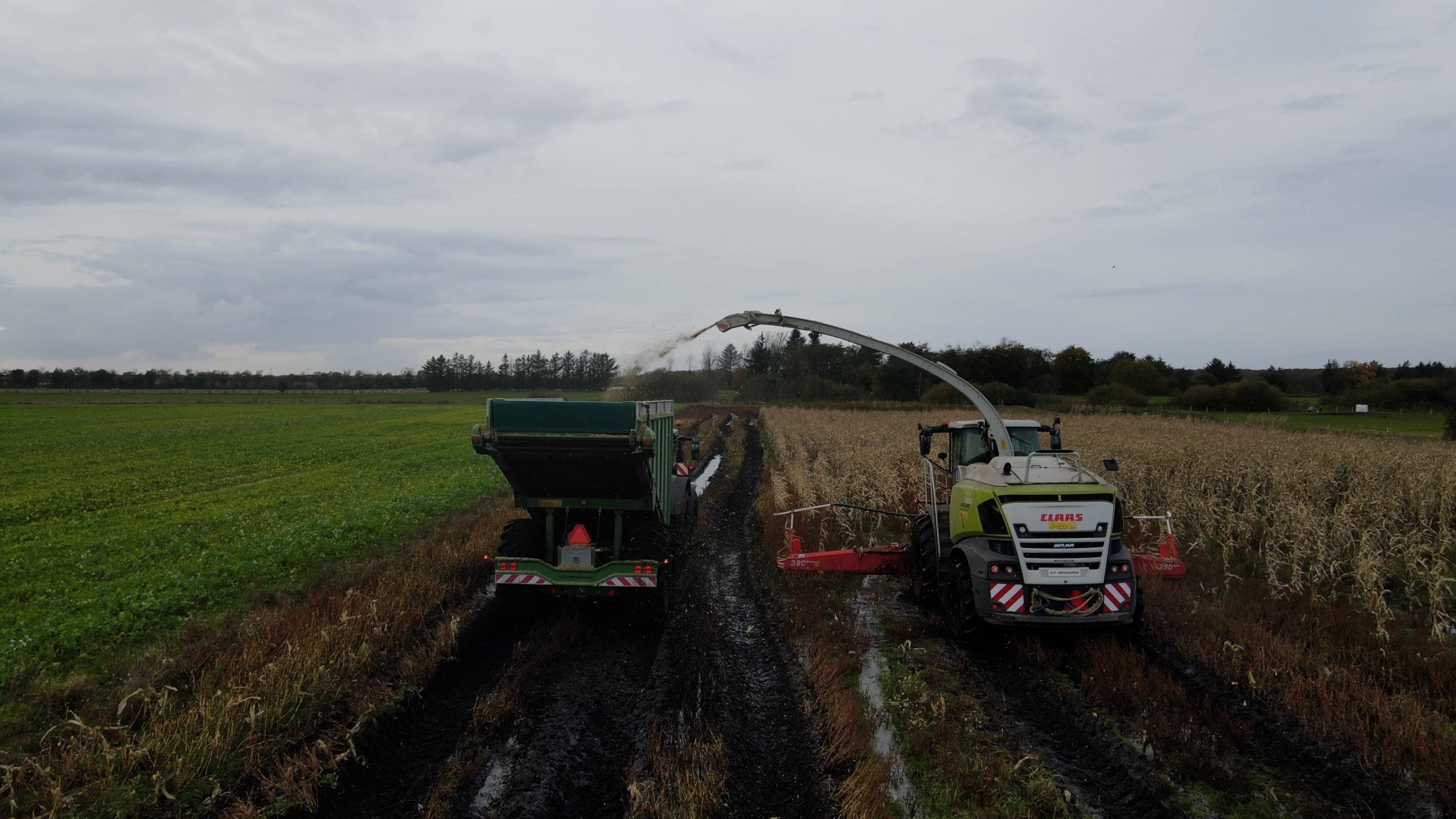 Forage harvester filling a GreenLoader on a wet maize headland